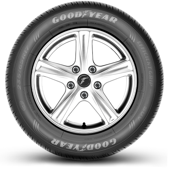 EfficientGrip Performance SUV, rim